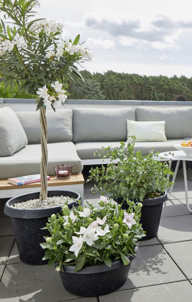 Scheurich Pflanzgefäß Stones Serie 285 anthrazit Ø 40 cm