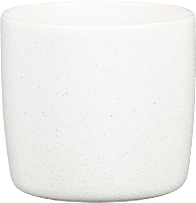 Scheurich Übertopf Solid Ø 15 x 13,7 cm perla