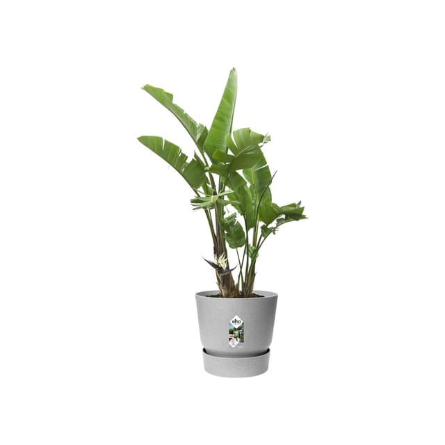 Elho Pflanztopf Greenville Ø 47 x 44 cm living beton