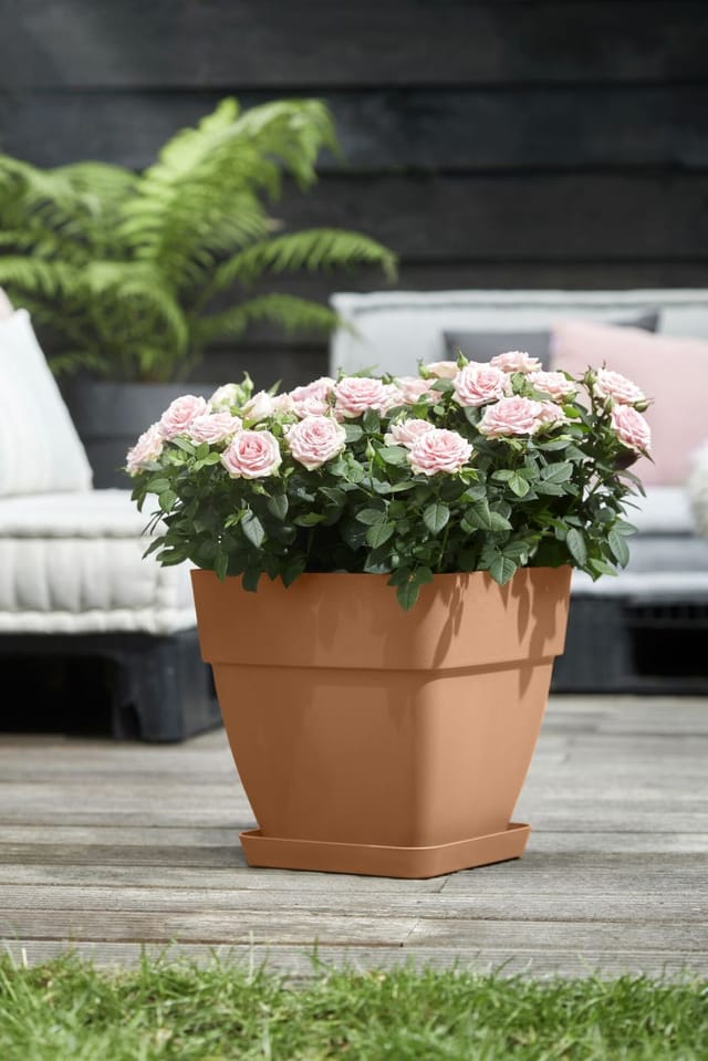 Elho Untersetzer Loft terra Ø 28 cm