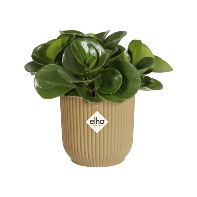 Elho Pflanztopf Vibes 9 cm x 9 cm buttergelb
