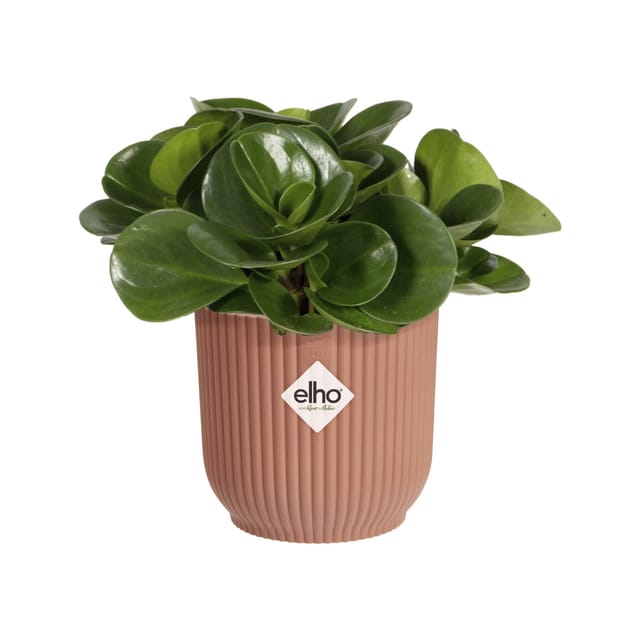 Elho Blumentopf Kunststoff rosa Ø 7 cm Vibes Fold Mini
