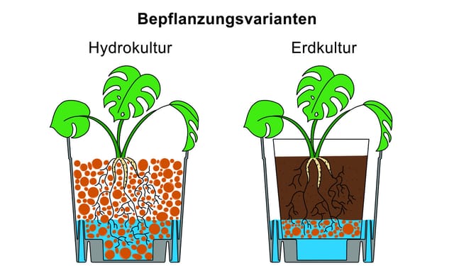 FlexiFlora Pflanztopf Modulares Pflanzsystem 14,5 x 14,5 x 15 cm Kunststoff anthrazit
