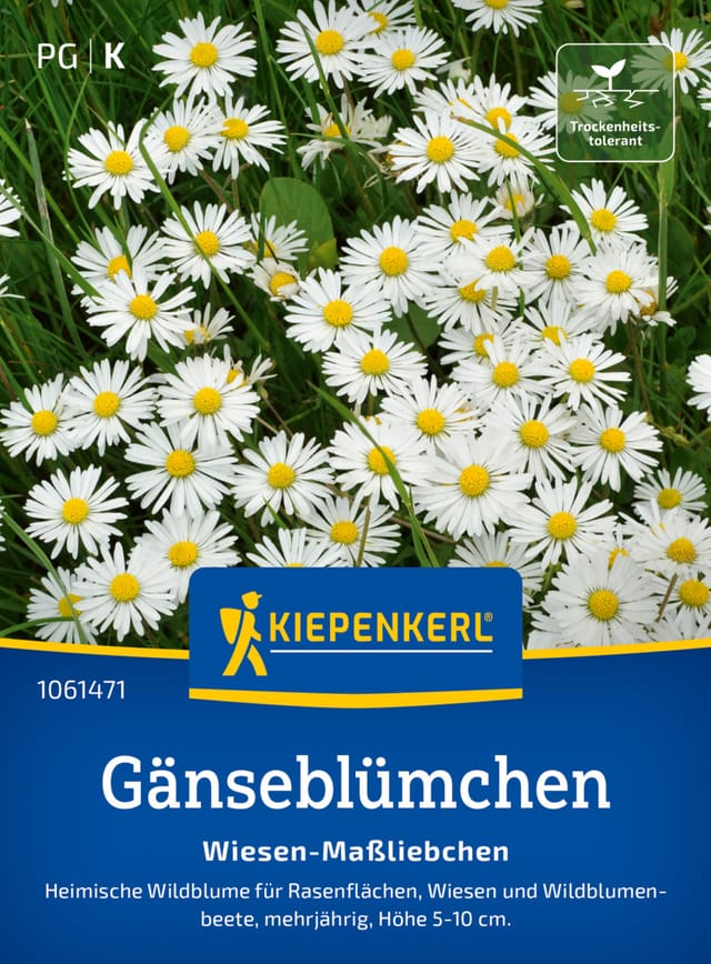 Kiepenkerl Saatgut Gänseblümchen Wiesen-Maßliebchen für ca. 3-5 m²