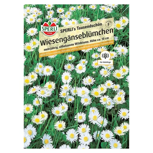 Sperli Saatgut Wiesengänseblümchen Tausendschön für ca. 1-2 m²