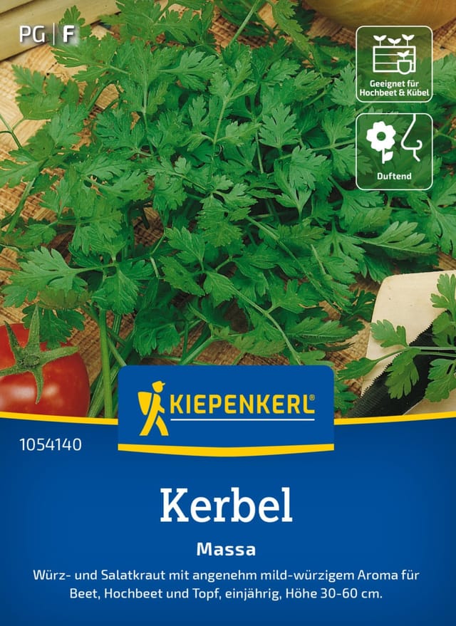 Kiepenkerl Saatgut Kerbel Massa für ca. 100 Pflanzen