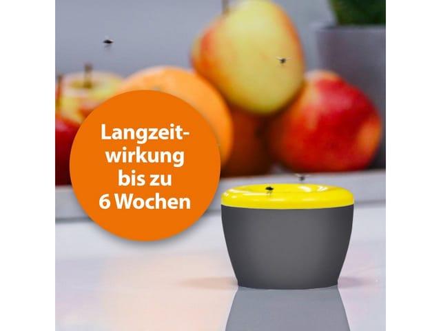 Ardap Fruchtfliegenfalle mit Lockstoff 1 Stück