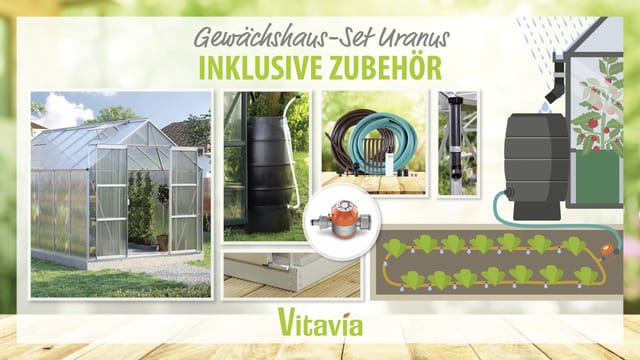 Vitavia Gewächshaus-Set Uranus 11500 HKP 6 mm alu 254 x 441 cm