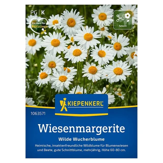 Kiepenkerl Blumensamen Wiesenmargeriten Wilde Wucherblume für ca. 300 Pflanzen