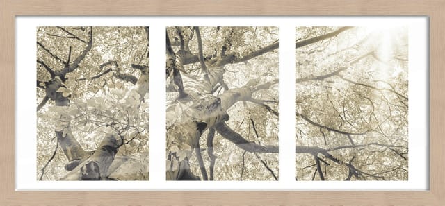 Bilderrahmen Holz Luzern duplo eiche 23 x 50 cm