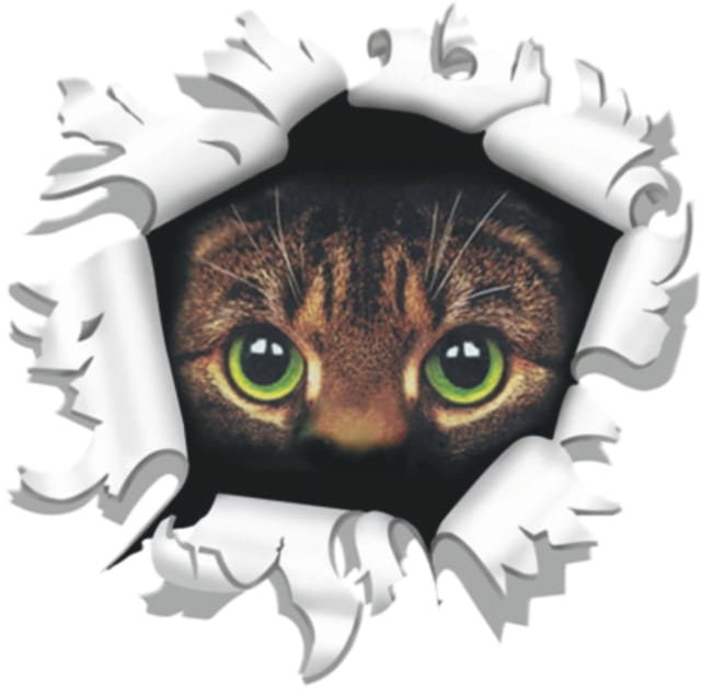 Hermann Schütz Autoaufkleber Einschussloch Katze Ø 8 cm