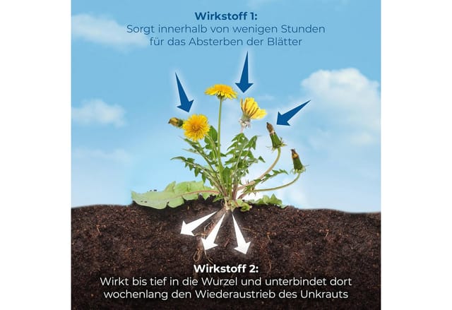 Protect Garden Permaclean Duo Unkraut & Wurzel-Ex 1 L