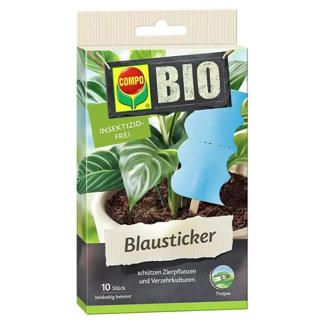 Compo Bio Blausticker gegen Thripse 10 Stück