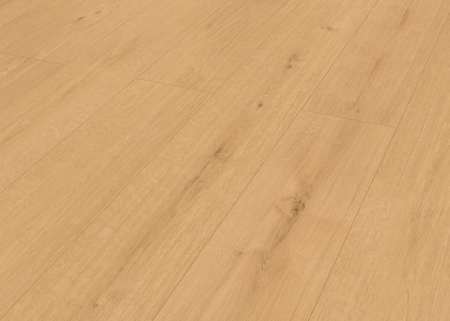 Classen Vinyl Designboden Ceramin Floors Tera Banff Oak