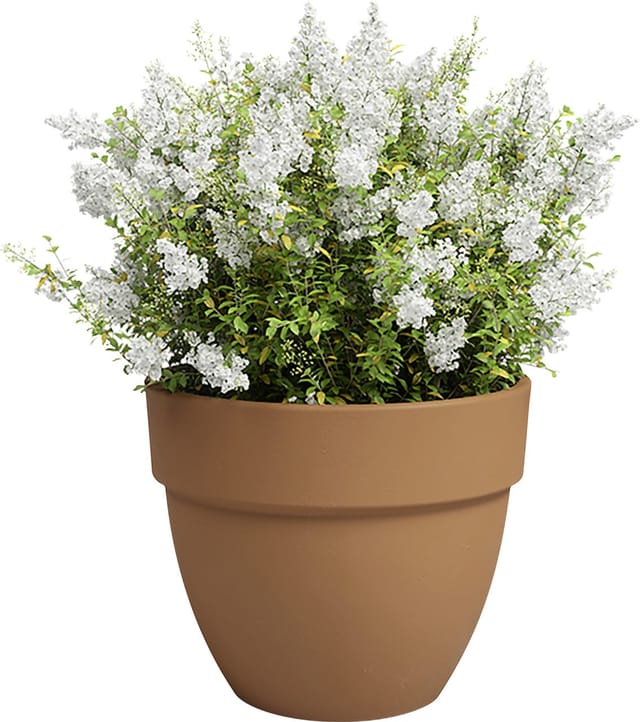 Artevasi Pflanztopf Amália Campana Terrakotta tonrot Ø 22 x 18 cm