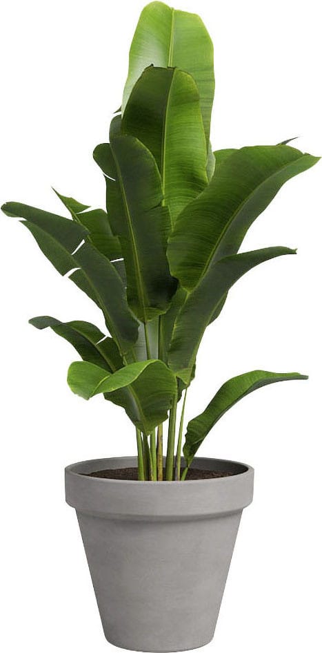Artevasi Pflanztopf Amália Terrakotta grau Ø 31 x 28 cm