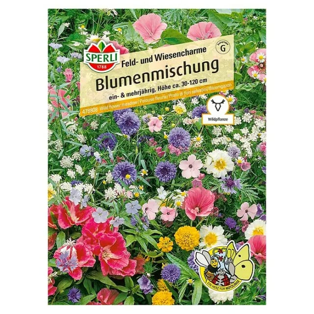 Sperli Blumenmischung Feld- und Wiesencharme