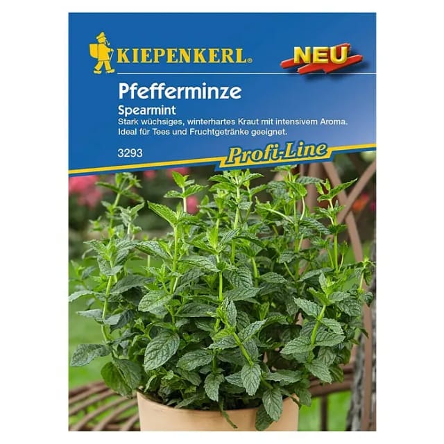 Kiepenkerl Pfefferminze Spearmint