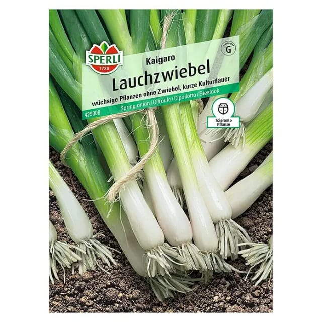 Sperli Lauchzwiebel Kaigaro
