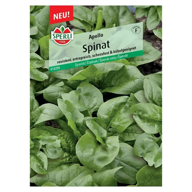 Sperli Spinat Apollo F1