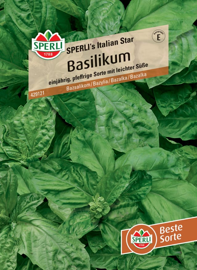 Sperli Basilikum Sperli 's Italian Star
