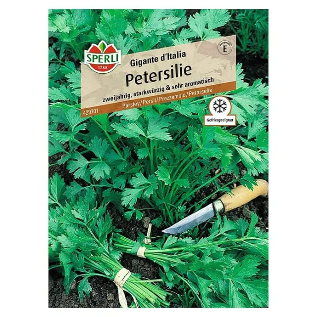 Sperli Petersilie Gigante d'Italia