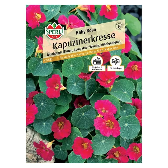 Sperli Kapuzinerkresse Baby Rose