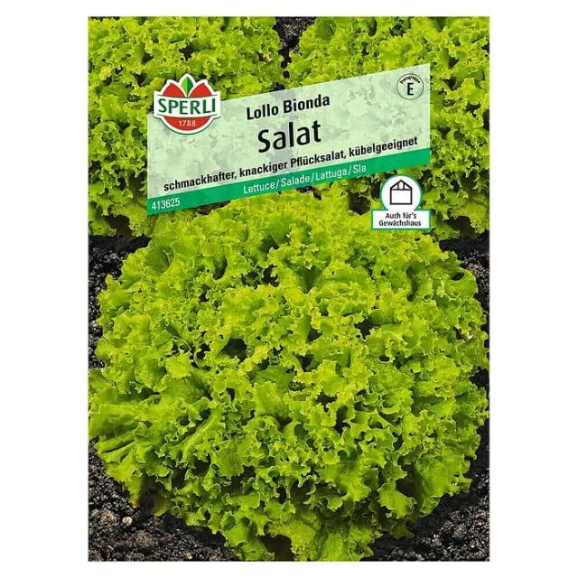 Sperli Pflücksalat Lollo Bionda