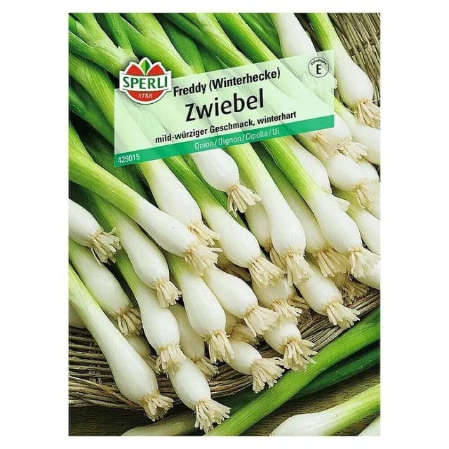 Sperli Winterlauchzwiebel Freddy (Winterheckenzwiebel)