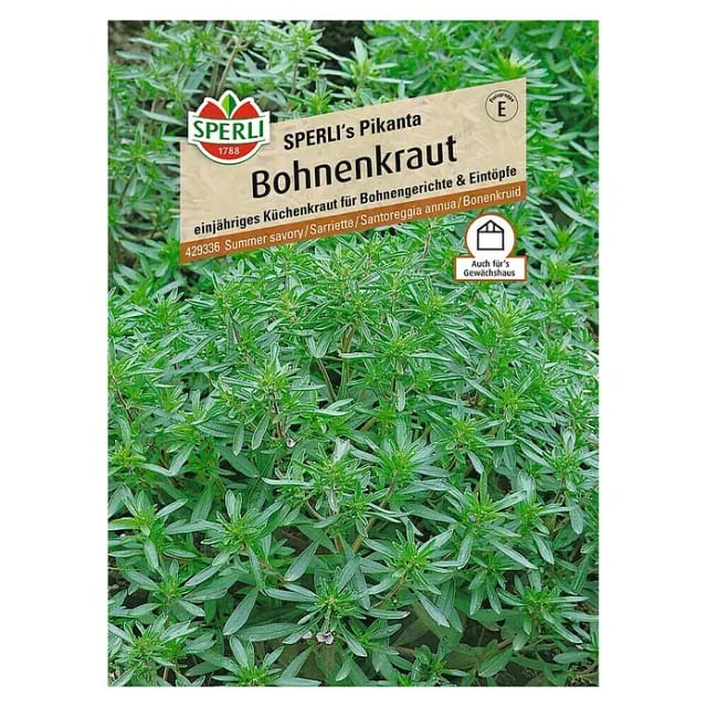 Sperli Bohnenkraut Sperli 's Pikanta