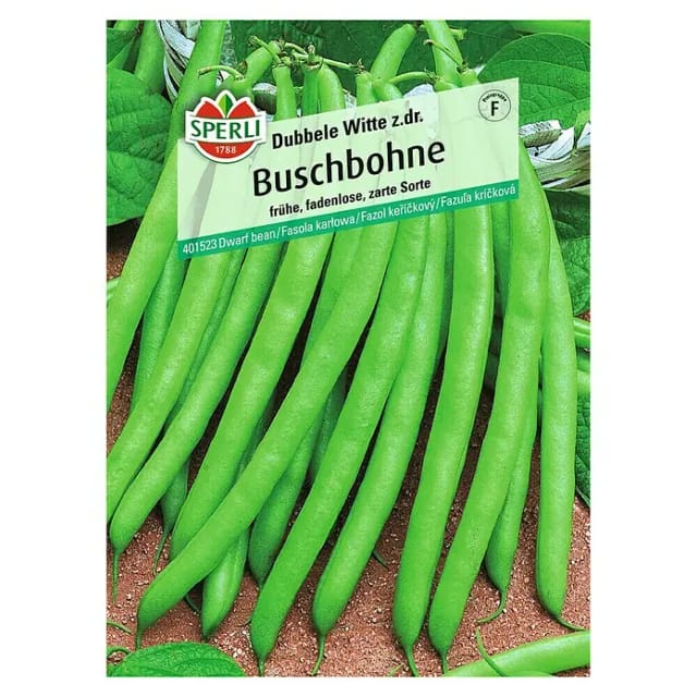 Sperli Buschbohne Dubbele Witte z.dr.