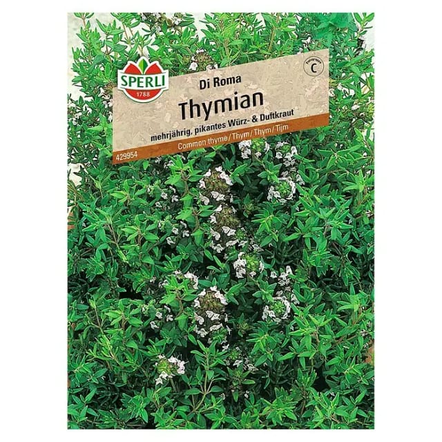 Sperli Thymian Di Roma