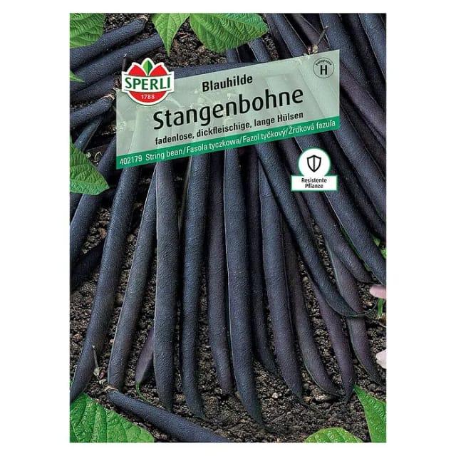 Sperli Stangenbohne Blauhilde
