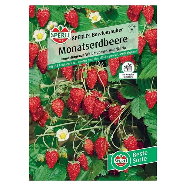 Sperli Monatserdbeere Sperli 's Bowlenzauber