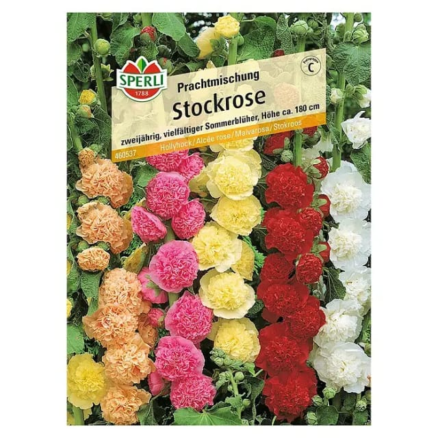 Sperli Stockrose Prachtmischung