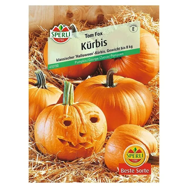 Sperli Halloween-Kürbis Tom Fox