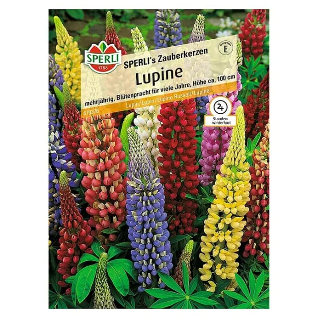 Sperli Lupine SPERLI's Zauberkerzen