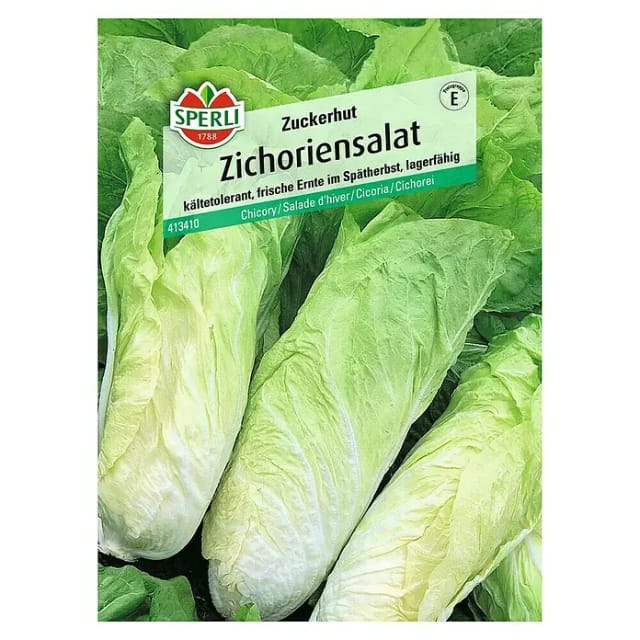 Sperli Zichoriensalat Zuckerhut