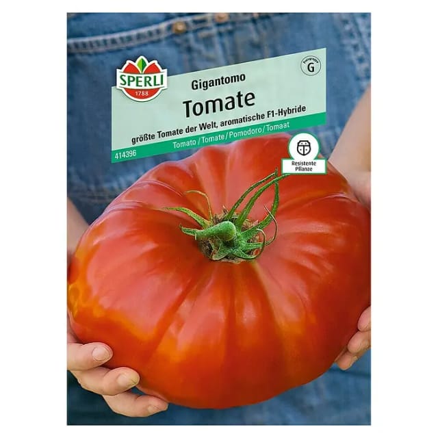 Sperli Fleisch-Tomate Gigantomo F1