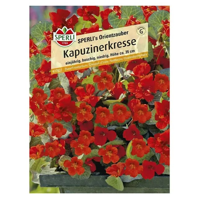 Sperli Kapuzinerkresse SPERLI's Orientzauber