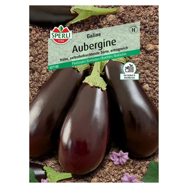 Sperli Aubergine Galine F1