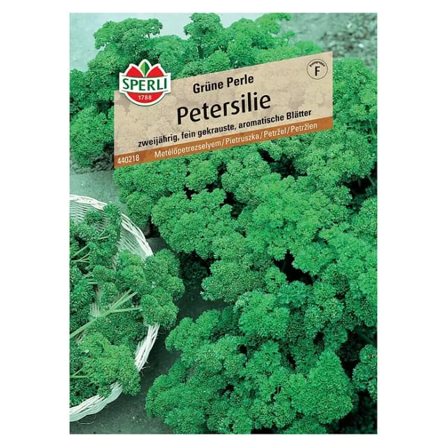 Sperli Petersilie Grüne Perle