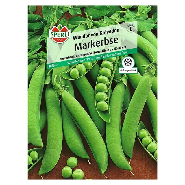 Sperli Markerbse Wunder von Kelvedon