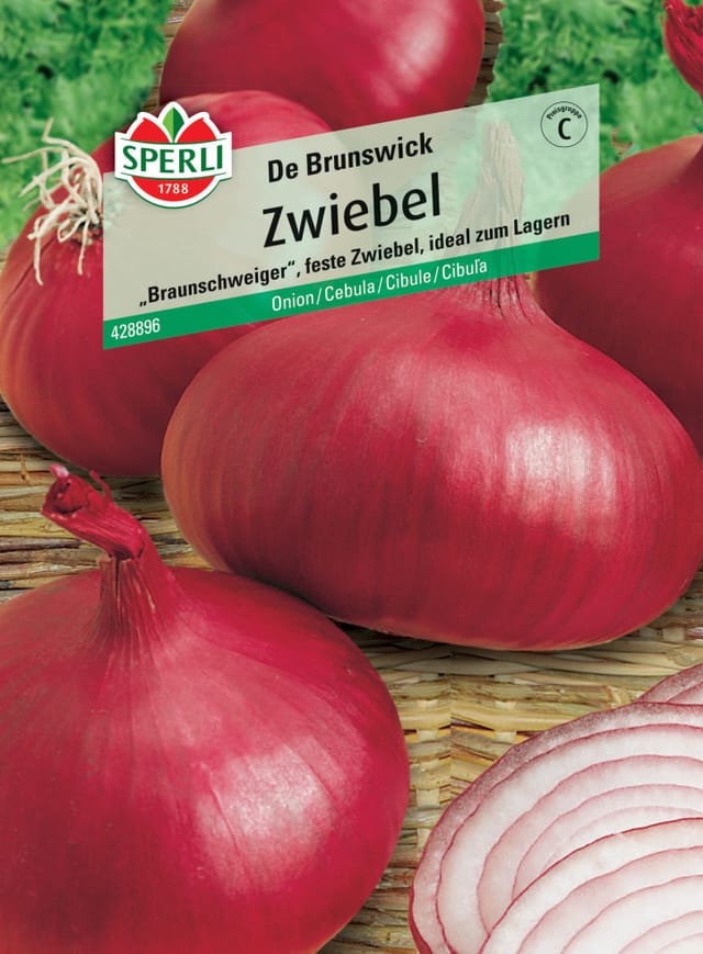Sperli Zwiebel De Brunswick