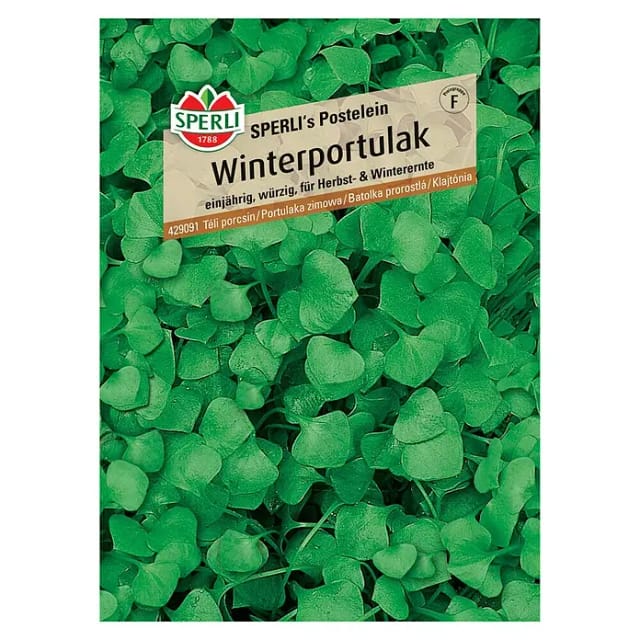 Sperli Winterportulak Sperli 's Postelein