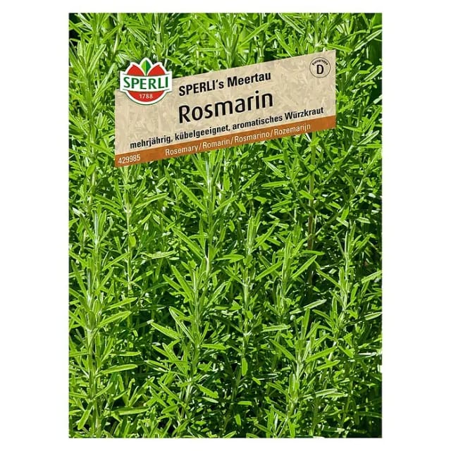 Sperli Rosmarin Sperli 's Meertau
