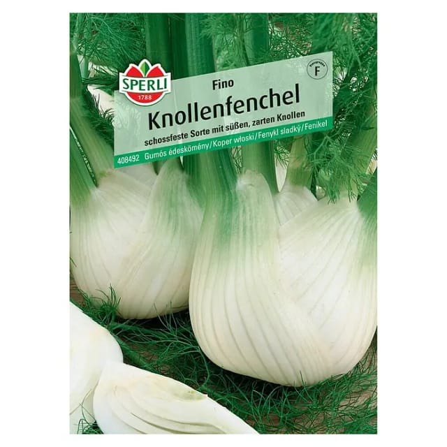 Sperli Knollenfenchel Fino
