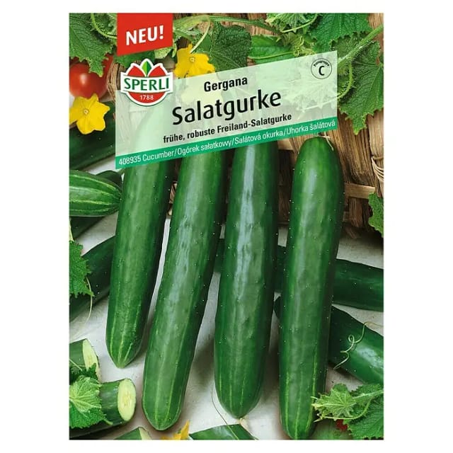 Sperli Salatgurke Gergana