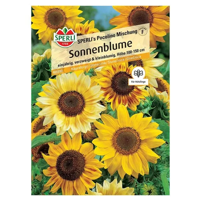 Sperli Sonnenblume SPERLI's Pocolino Mischung