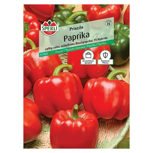 Sperli Blockpaprika Priscila F1